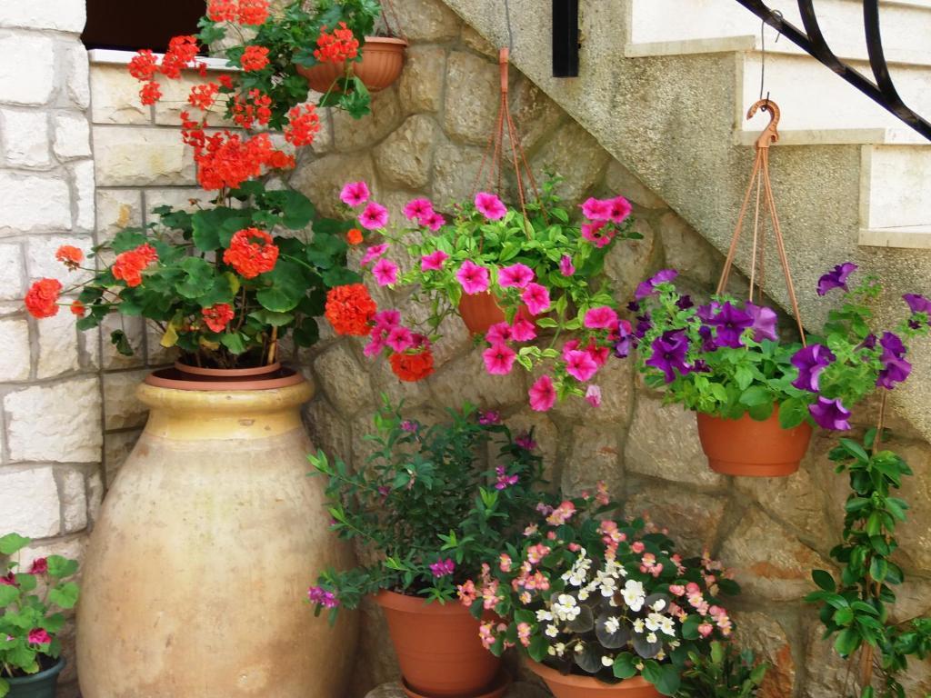 Apartments Beba Mali Lošinj Pokój zdjęcie