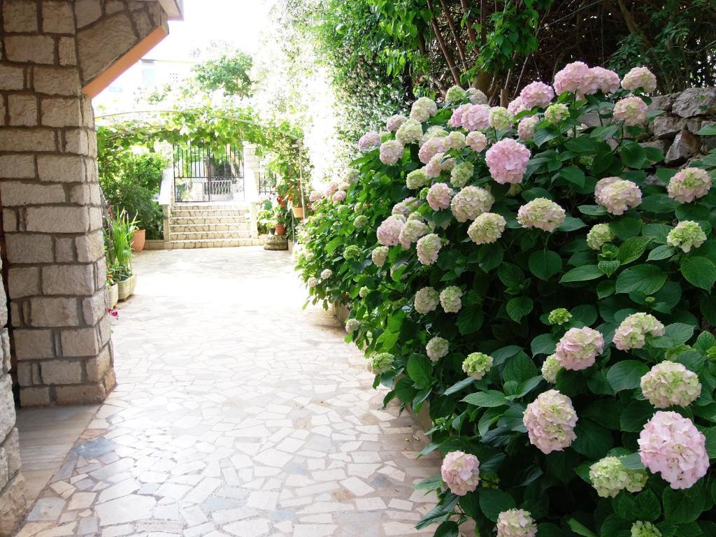 Apartments Beba Mali Lošinj Pokój zdjęcie