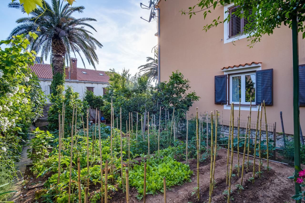 Apartments Beba Mali Lošinj Zewnętrze zdjęcie